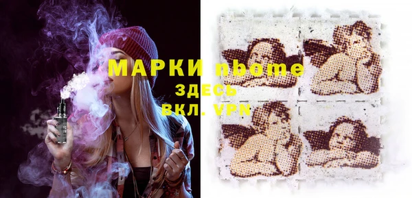 индика Заволжск