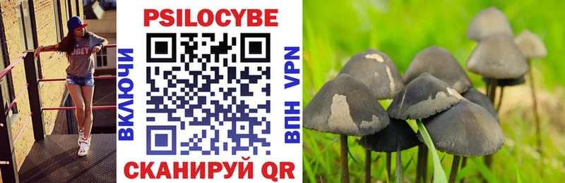 Купить  Волчанск  Галлюциногенные грибы мицелий 